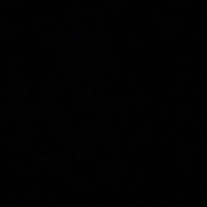 Meet your Posher, Jesse